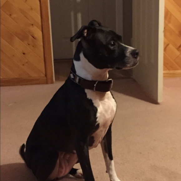 Meet your Posher, Karyn - Picture 1 of 1